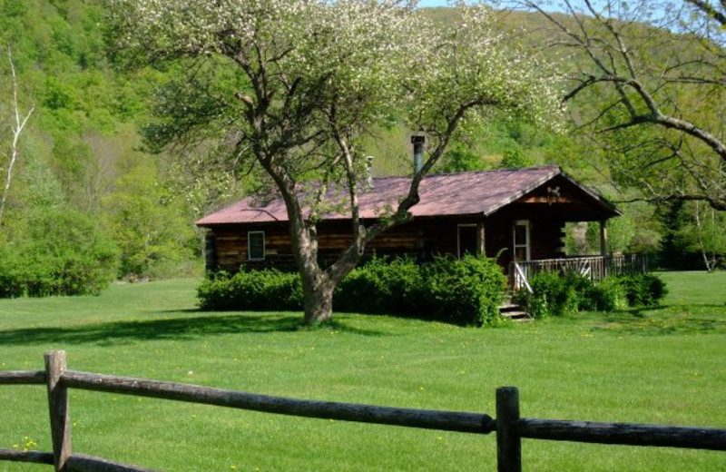 Cabin exterior at Cold Spring Lodge.