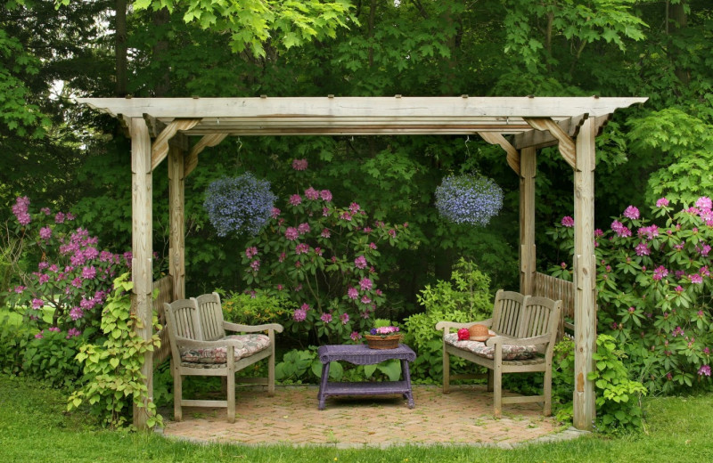 Garden at The Rookwood Inn.