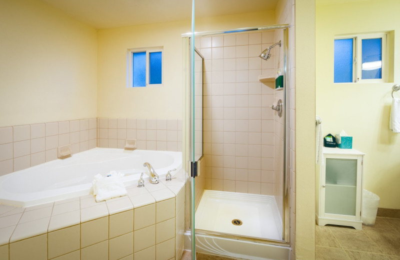 Guest bathroom at EuroSpa & Inn.