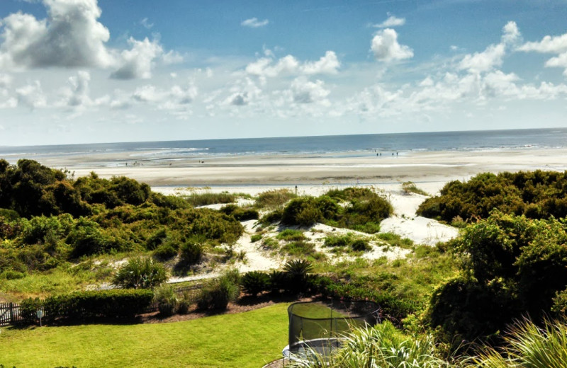 View of the beach at Hodnett Cooper.