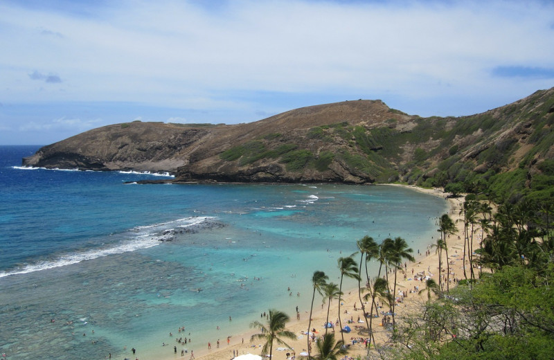 Beach near Hawaiian Vacation Rentals.