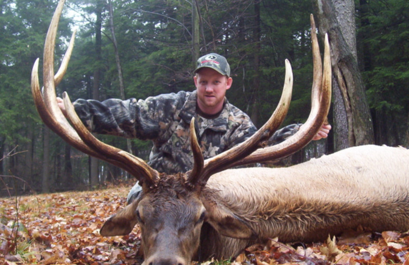 Elk hunting at Majestic World Lodge & Retreat.