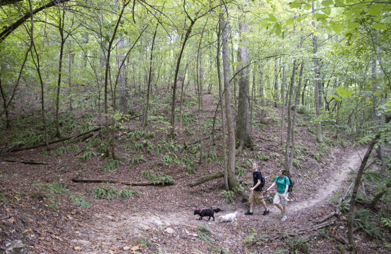 Hiking at  	Mountain Harbor Resort & Spa.