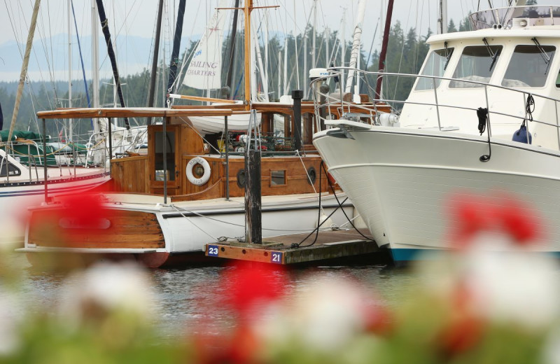 Marina at The Resort at Port Ludlow.