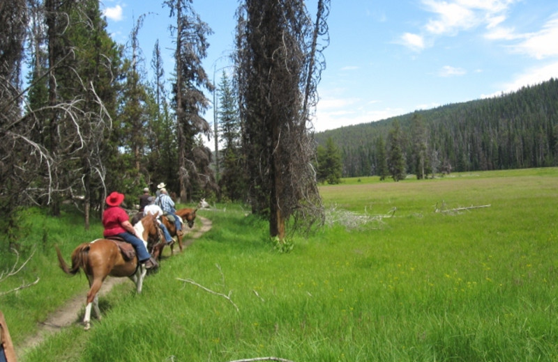 Trail ride at Silver Spur Outfitters.