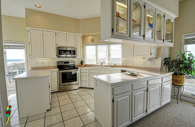 Rental kitchen at Treasure Realty.