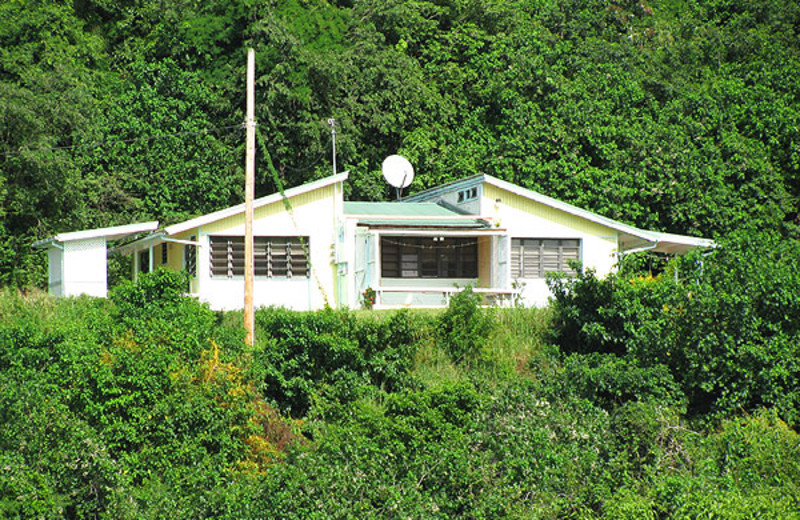 Exterior view of Tamarindo Estates Beach Cottages.