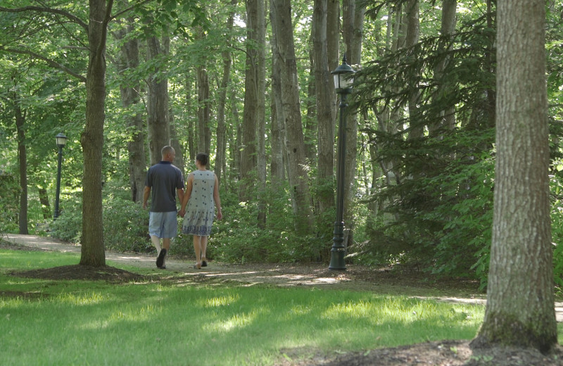 Walking path at The Meadowmere Resort.