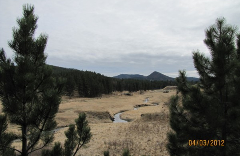 Scenic view at Black Hills Cabins & Motel at Quail's Crossing.