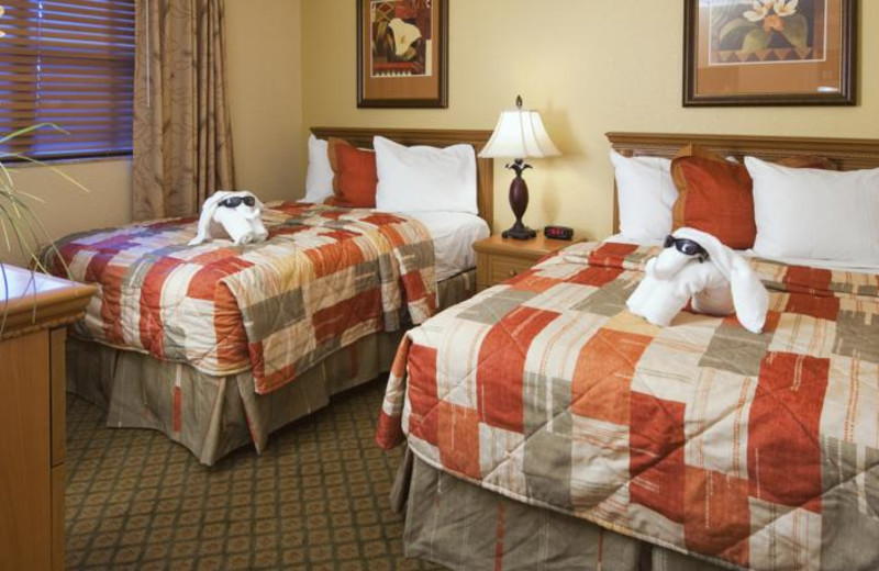 Double guest room at Floridays Resort Orlando.