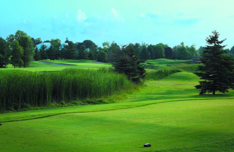 Golf course at Lakeview Hills Golf Resort.