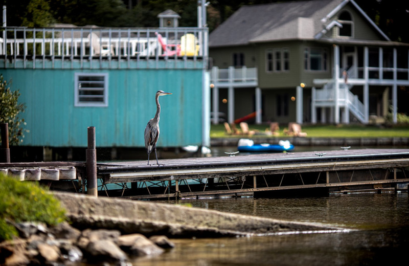 Docks at Rumbling Bald on Lake Lure.