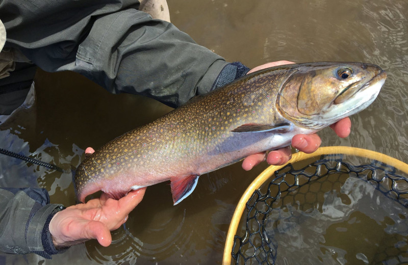 Fishing at Grant's Camps.