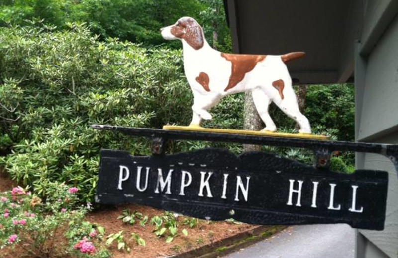Pets welcome at Chambers Realty & Vacation Rentals.