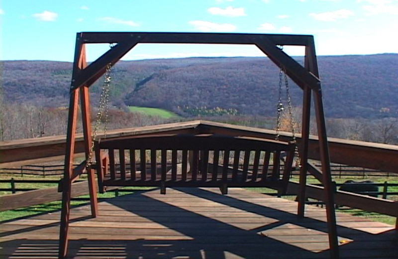 Outdoor swing at The Vagabond Inn.