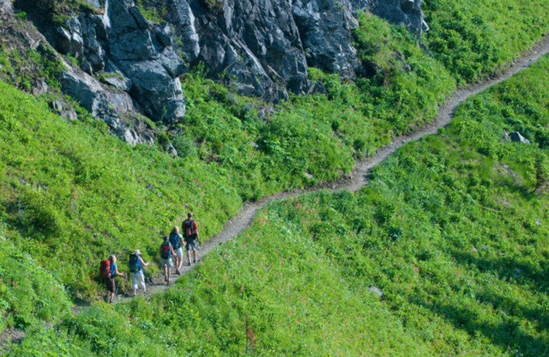 Hiking at Mountain Trek Fitness Retreat & Health Spa.