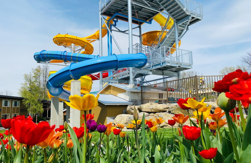 Water park at Rocking Horse Ranch Resort.