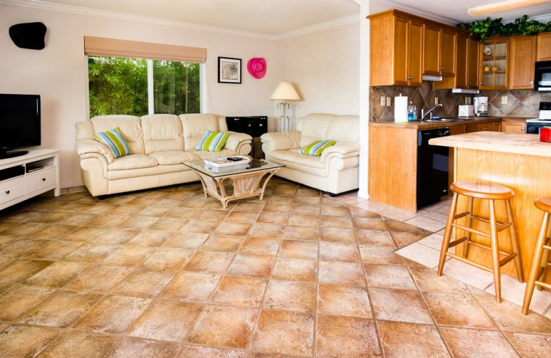 Kitchen living room at Waterfront on Lake LBJ With Dock.