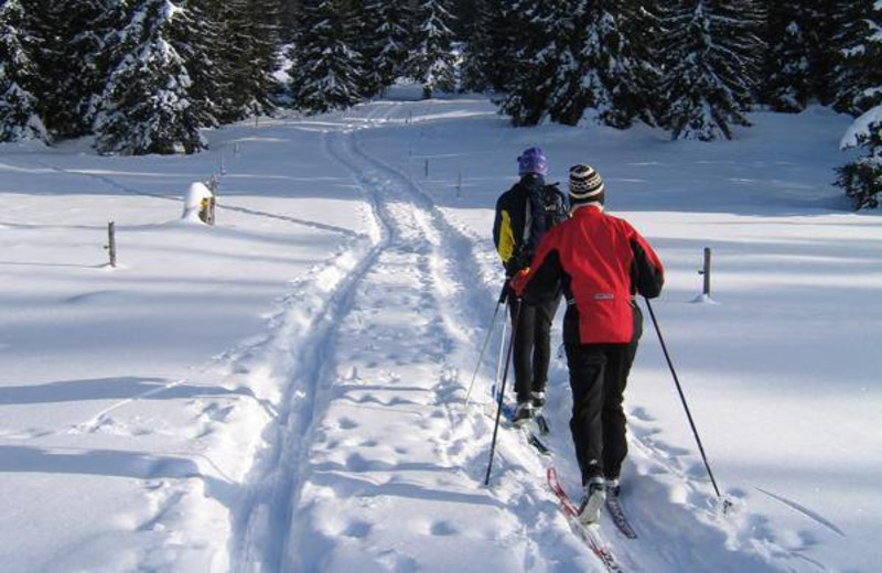 Cross country skiing near Sybil Shores Resort.