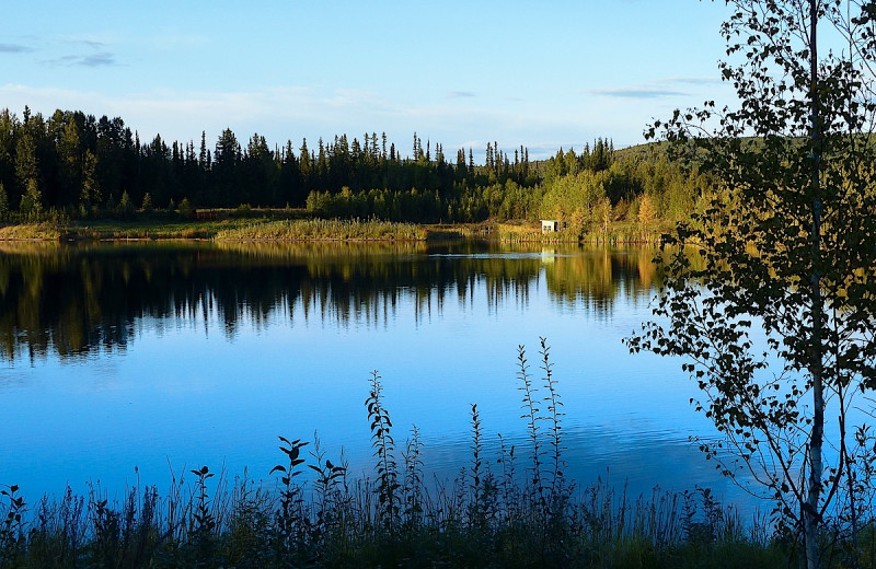 Lake view at Wedgewood Resort.
