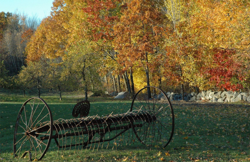 Old farm equipment at Avaloch Farm.