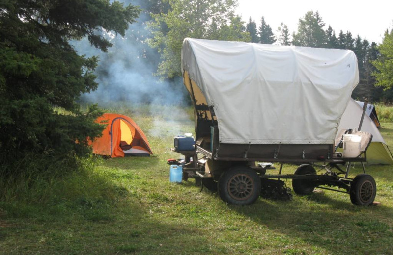 Wagon campground at Trailhead Ranch.