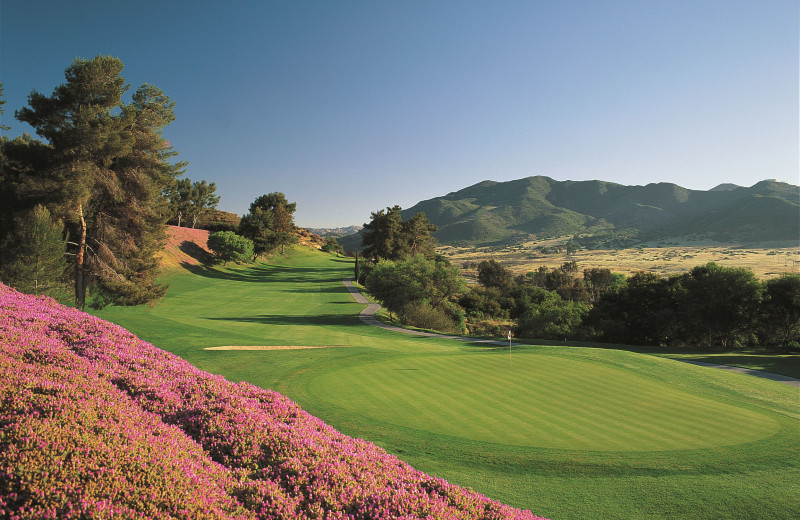 Golf course at Pala Mesa Resort.