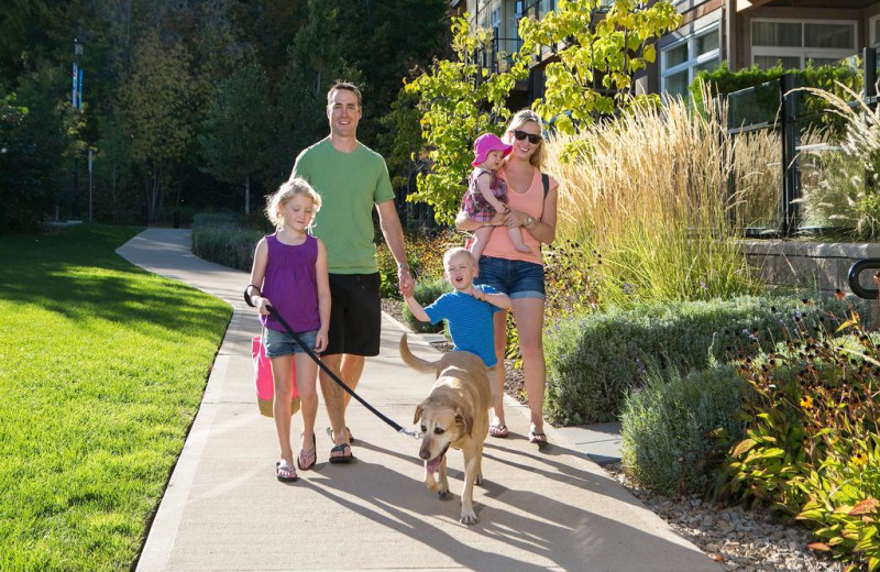 Pets welcome at Summerland Waterfront Resort.