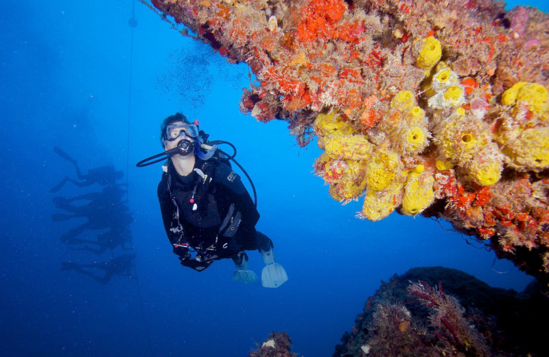 Diving near Coral Bay Resort.