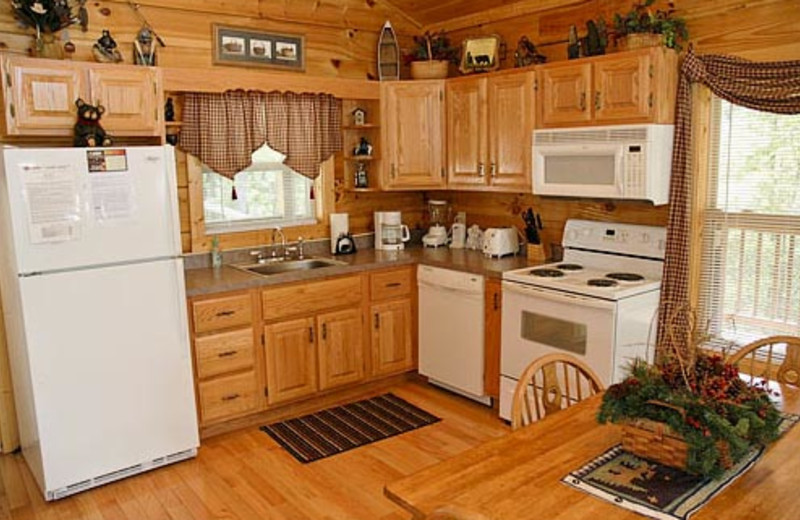 Vacation Rental Kitchen at Volunteer Cabin Rentals
