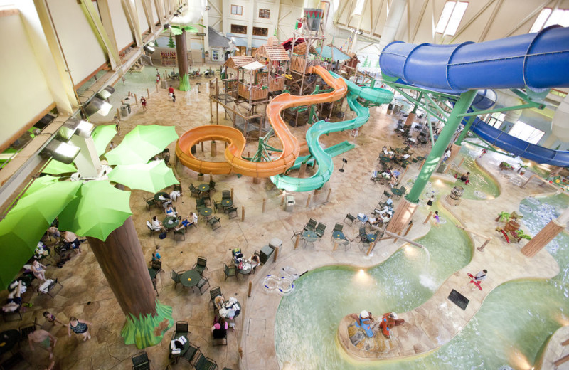 Waterpark at Great Wolf Lodge - Kansas City.