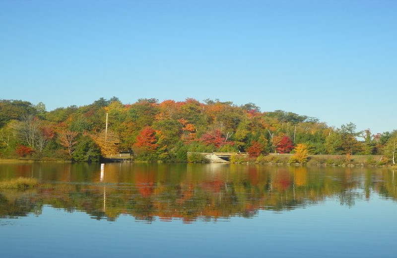 Fall colors at Pitlik's Sand Beach Resort.