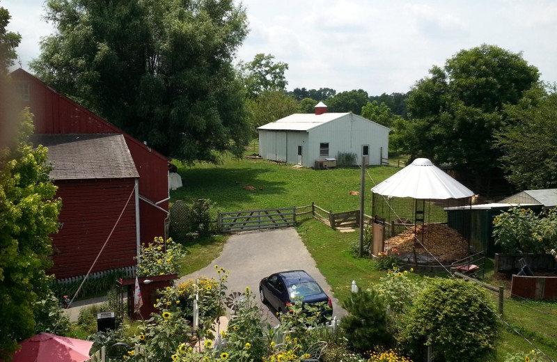 Exterior view of Olde Fogie Farm.