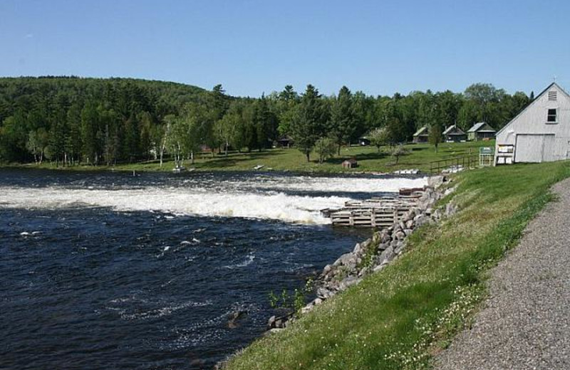 Lake view at Bald Mountain Camps Resort.