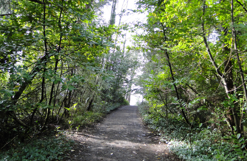 Trail at Shakti Cove Cottages.