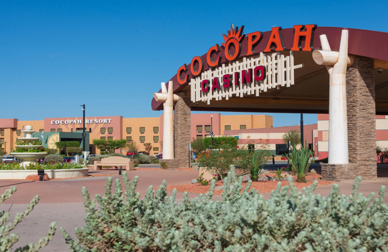 Exterior view of Cocopah Resort 