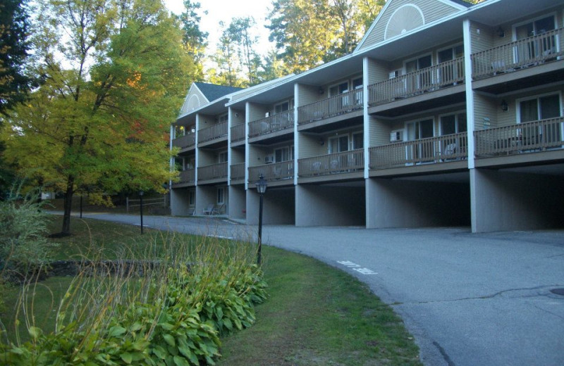 Exterior view of Misty Harbor. 