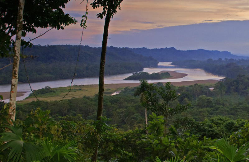 View from Yachana Amazon Lodge.