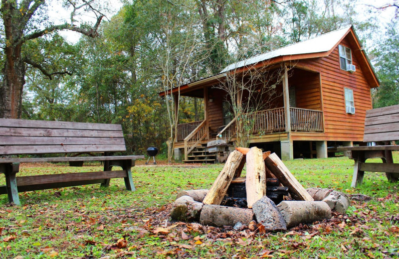 Cabin exterior at Berry Creek Cabins.