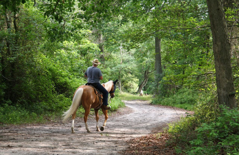 Horseback riding at The Lodges at Gettysburg.