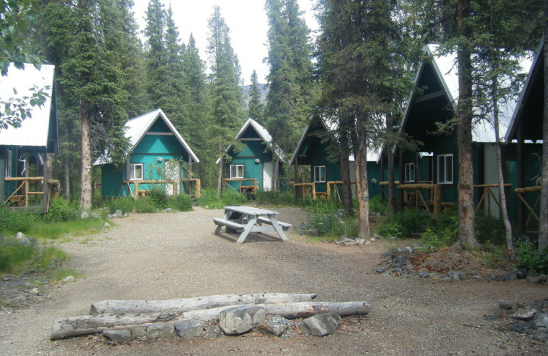 Cabins at Denali Perch Resort.