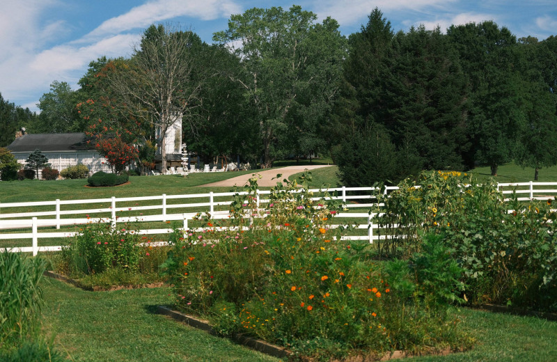 Grounds at The Horse Shoe Farm.