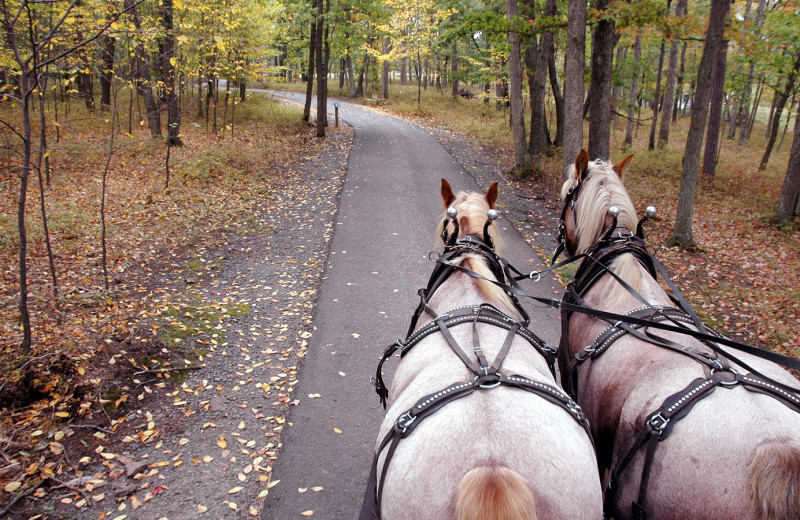 Hayrides at Woodloch Resort.