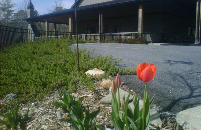 Exterior view of Copperhead Lodge.