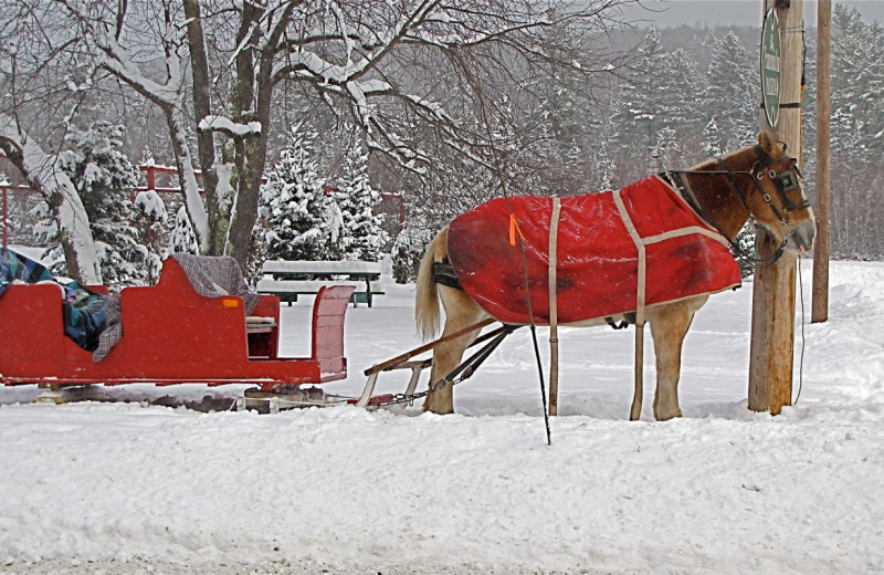 Sleigh rides at Woodwards Resort.