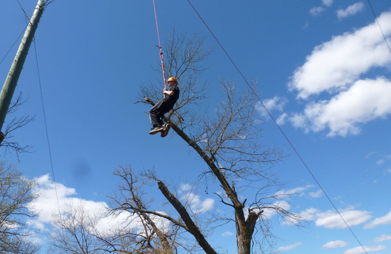 Adventure ropes near Spicer Green Lake Resort.