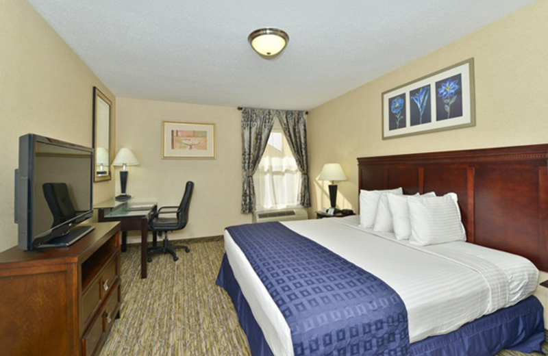 King Room at Best Western Historic Frederick