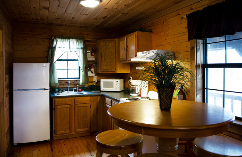 Cabin kitchen at Kel's Kove.