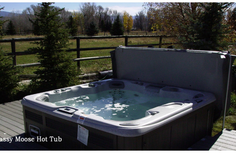 Jacuzzi at The Sassy Moose Inn.