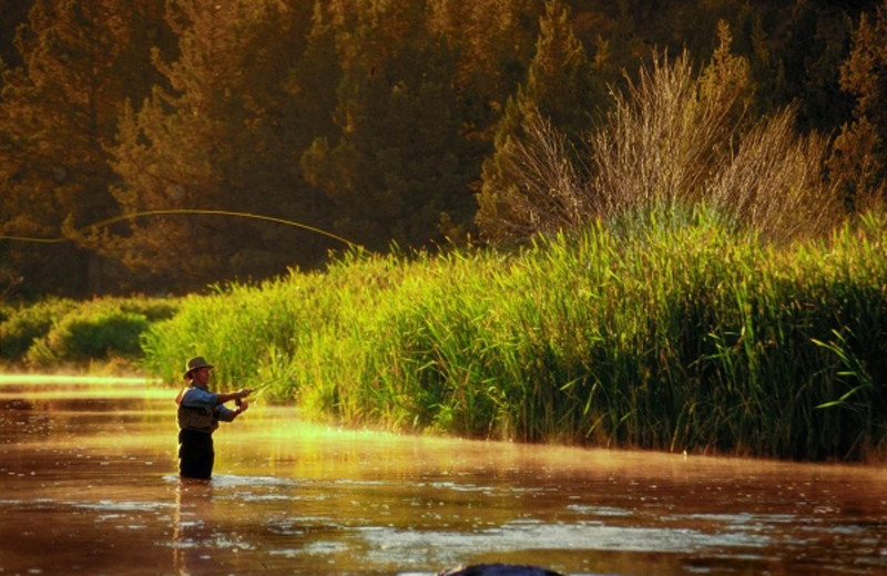 Fishing at Eagle Crest Resort 